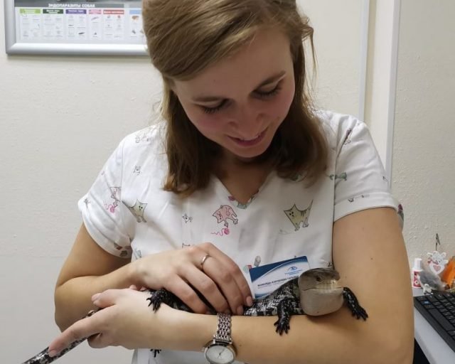 «После смены пересчитываю пальцы — не откусил ли их какой-нибудь крокодильчик»: интервью с экзотологом-герпетологом Татьяной Жамойда