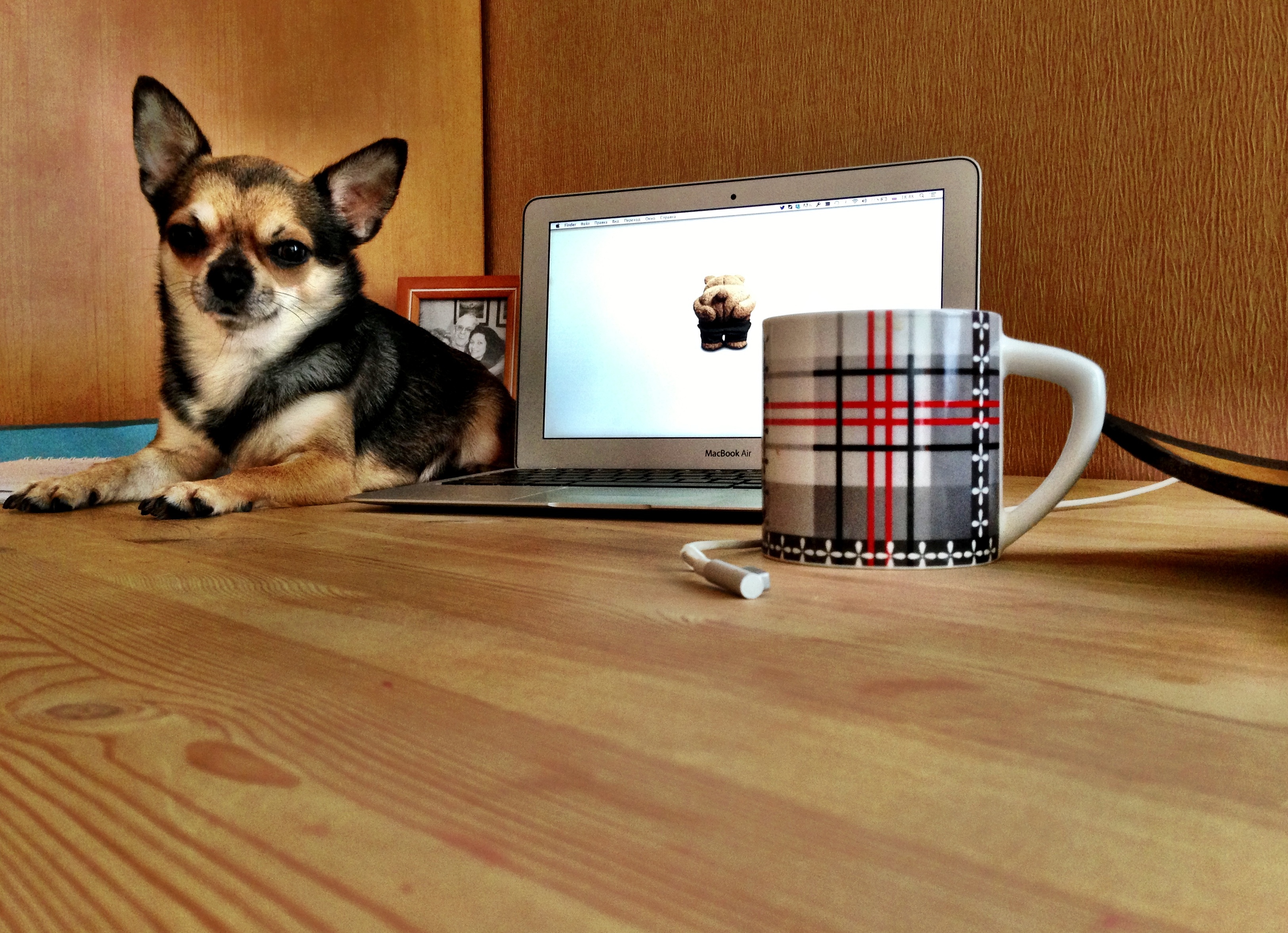 Рабочие места: Маруся Подлеснова, CEO RusBase