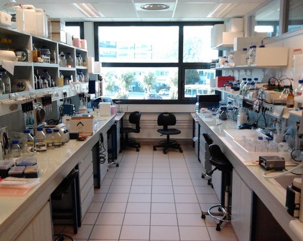 Рабочие места: Харитон Матвеев, сооснователь Skyeng