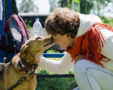 «Тыкать щенка носом в его лужи — самый вредный совет»: интервью со специалистами по поведению собак