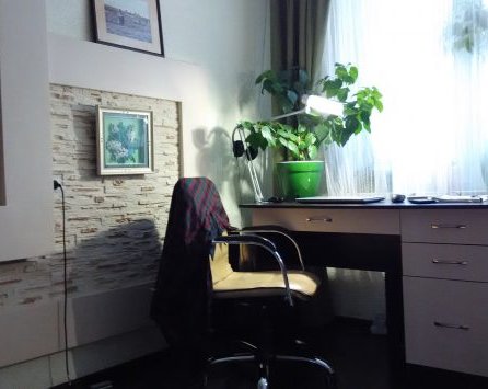 Рабочие места: Дмитрий Горчаков, автор Лайфхакера